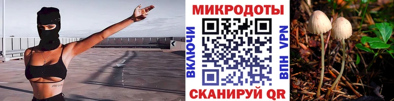 Купить Вилюйск Галлюциногенные грибы Cubensis