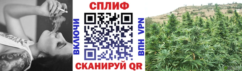 Купить  Вилюйск  Каннабис сатива 